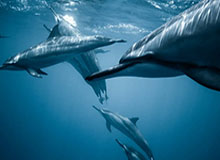 hth sports-开云：打破云雾，让未来更清晰